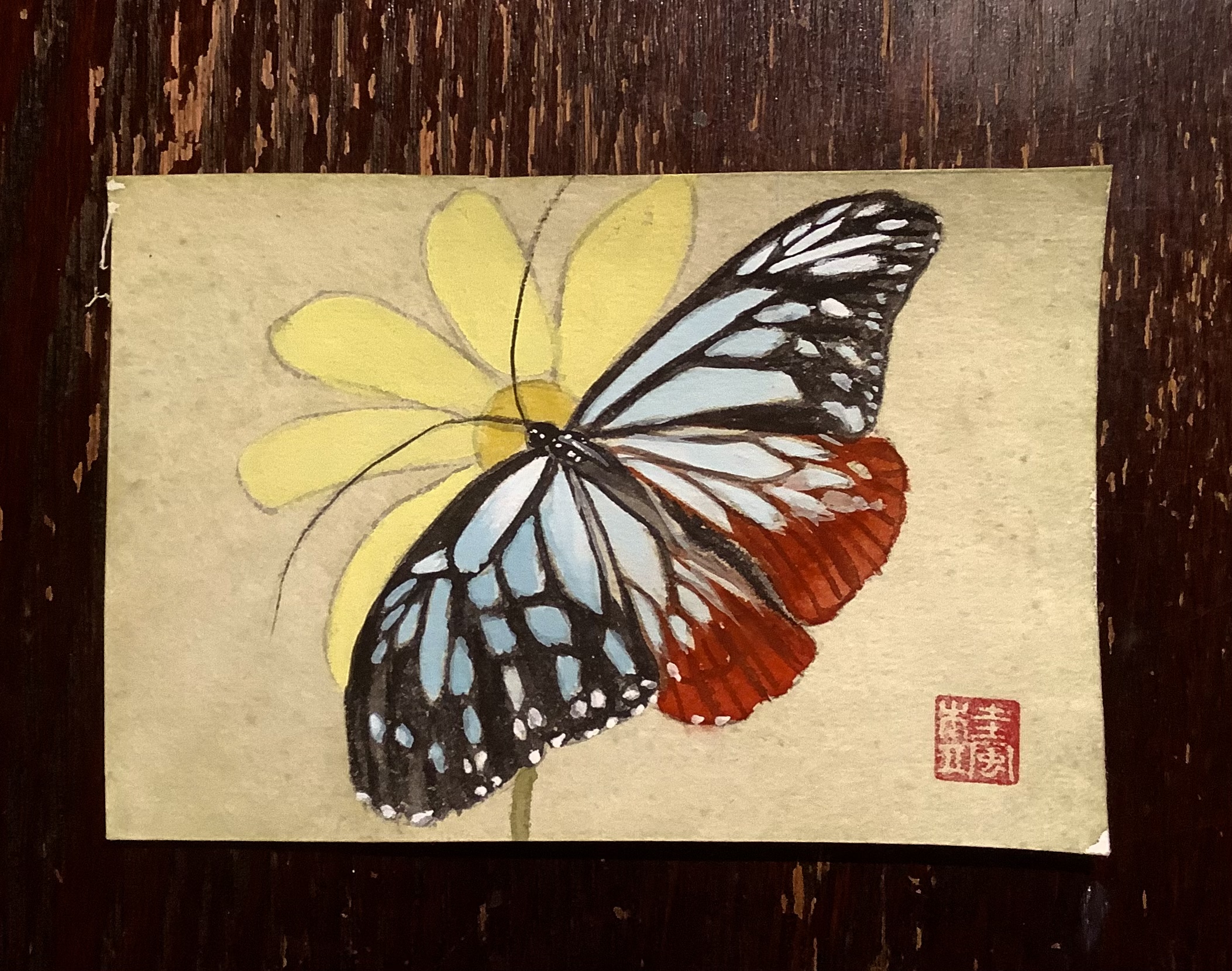 顔彩で描く蝶の絵シリーズ 旅をする蝶 アサギマダラ の描き方 さわやか墨彩画教室