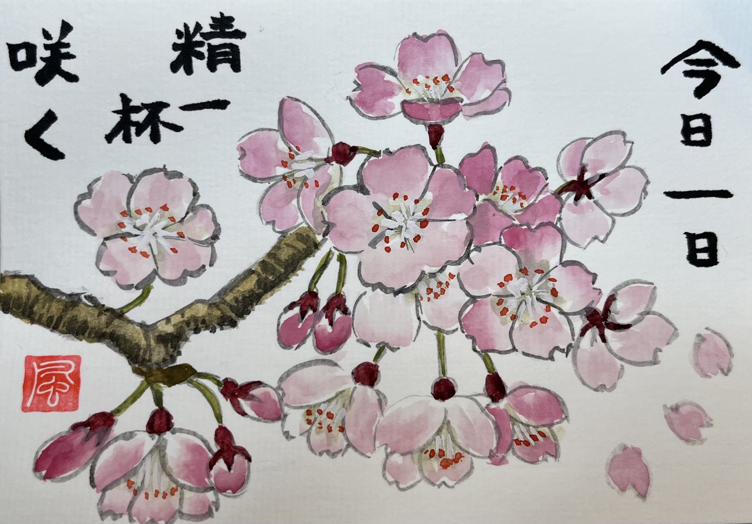 顔彩で描く絵手紙シリーズ 桜の花の描き方 精一杯咲く についてのお話 さわやか墨彩画教室